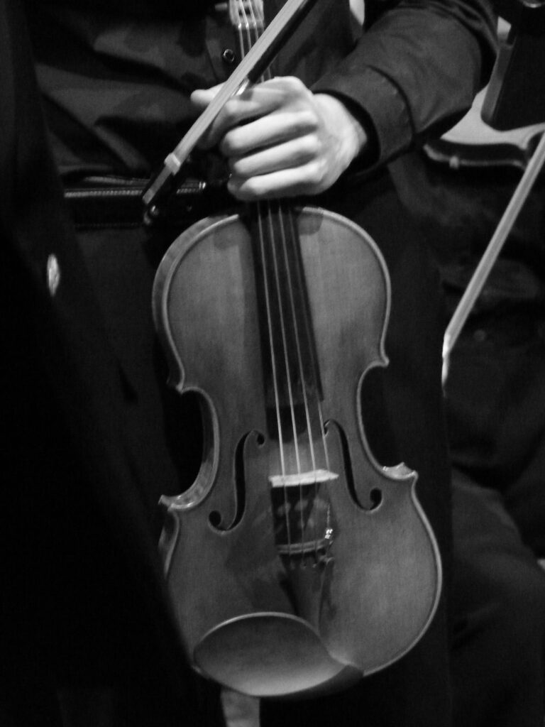 Concert CONNESSON - Photo 4