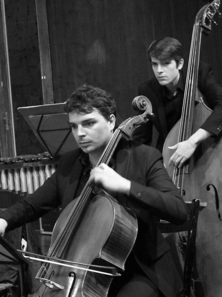 Concert CONNESSON - Photo 8